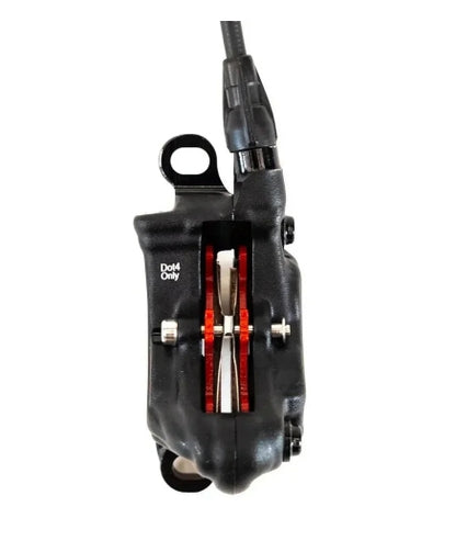 Formula E-moto REAR brake
